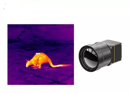 Uncooled Microbolometer Thermal Camera Core for Wildlife Observation