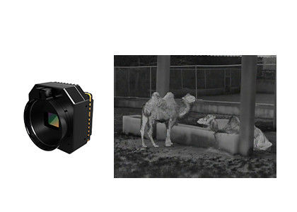 Wysokiej wrażliwości kamera bezpieczeństwa termicznego Moduł podczerwieni niechłodzony