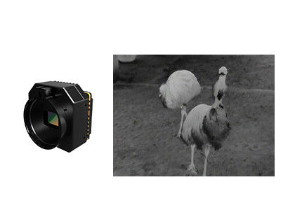 Niechłodzony moduł kamery bezpieczeństwa termicznego w podczerwieni z wieloma soczewkami